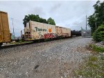 TPIX 3043